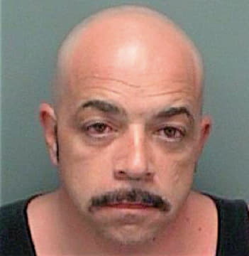 Petanowick Stephen - Pinellas County, FL 