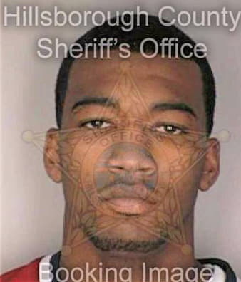 Mcleod Eric - Hillsborough County, FL 