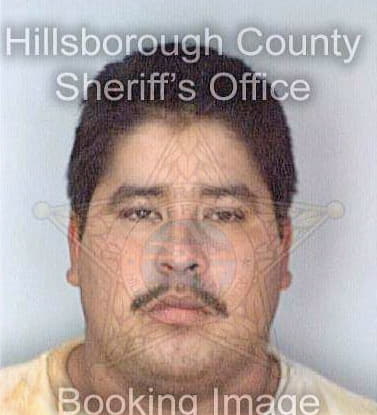 Buenavista Jaime - Hillsborough County, FL 