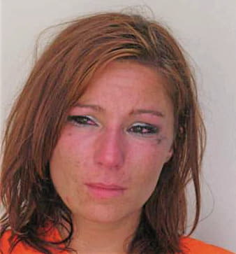 Doshier Jamie - Hillsborough County, FL 