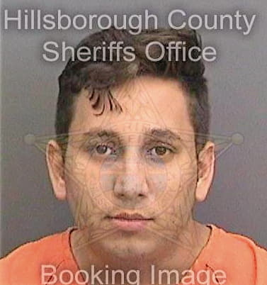 Pazmejia Marcio - Hillsborough County, FL 