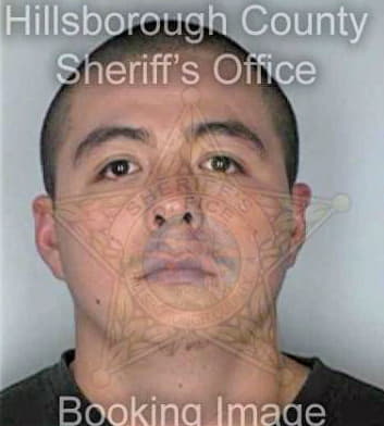 Sanchez Martin - Hillsborough County, FL 