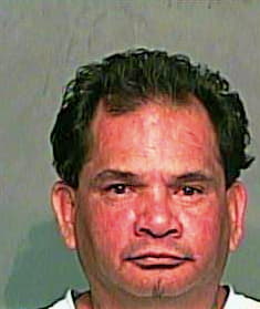 Bermea Raul - TomGreen County, TX 