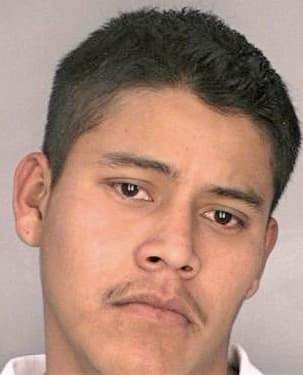 Estradagallegos Armando - Hillsborough County, FL 