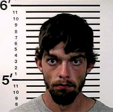 Dispain Christopher - White County, GA 
