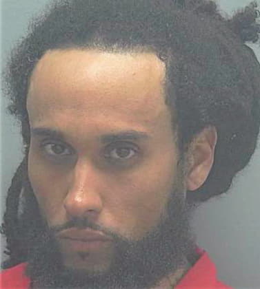 Alexander Dominic - Lee County, FL 