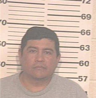 Gaona Jose - Hidalgo County, TX 