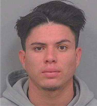 Pineda-Francis Jose - Gwinnett County, GA 