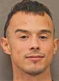 Ledesma Dariel - Johnson County, MO 