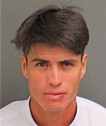 Sanchezaviles Fidel - Orange County, FL 