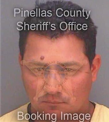 Serranoflores Olvin - Pinellas County, FL 
