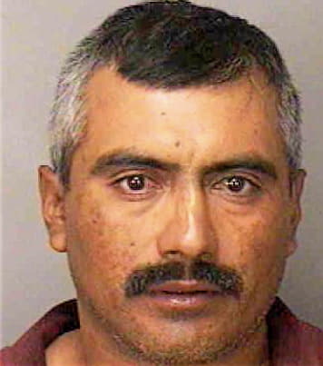 Ortega Gonzalo - Polk County, FL 