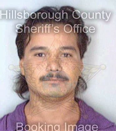 Gonzalez Jesus - Hillsborough County, FL 