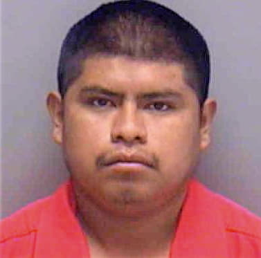 Lopez Lorenzo - Lee County, FL 