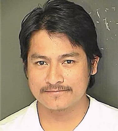 Billegas Ramiro - Charleston County, SC 