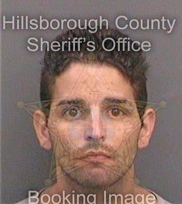 Menesehernandez Elidiel - Hillsborough County, FL 