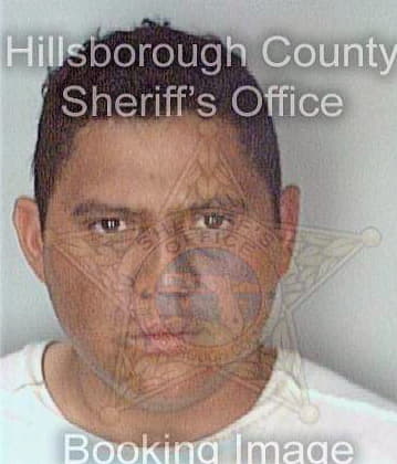 Lima Emilse - Hillsborough County, FL 