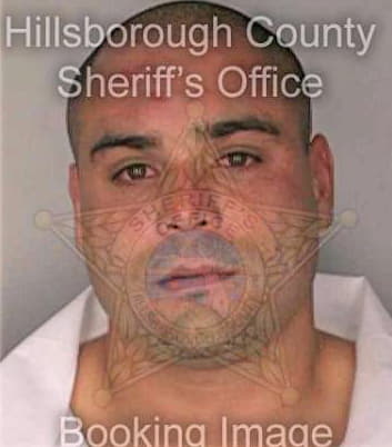 Colon Porfirio - Hillsborough County, FL 