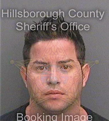 Galavertarias Reinier - Hillsborough County, FL 