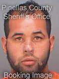 Gonzalez Carlos - Pinellas County, FL 