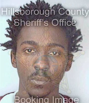 Edwards Laron - Hillsborough County, FL 