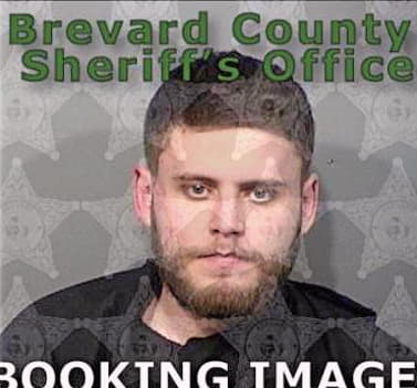 Hawkins Nathan - Brevard County, FL 