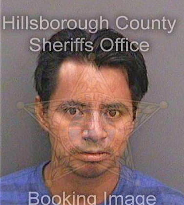 Perezperez Juan - Hillsborough County, FL 