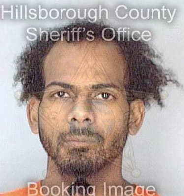 Rampersaud Gavin - Hillsborough County, FL 