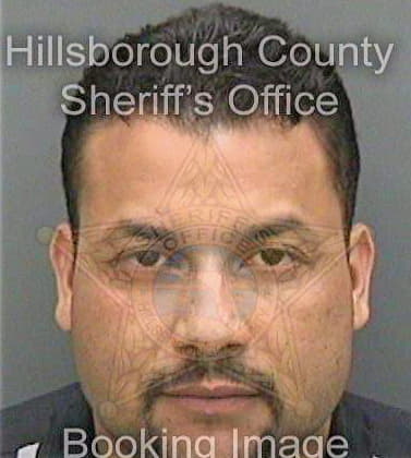 Solis Luis - Hillsborough County, FL 