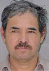 Moreno Rutilo - Hunt County, TX 