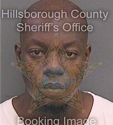 Hugeekellogg Demetrius - Hillsborough County, FL 