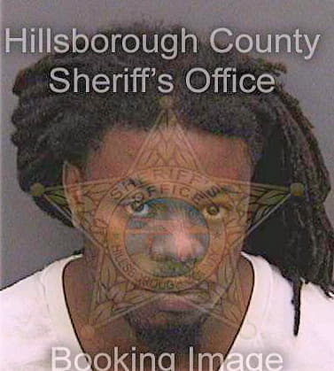 Mcneal Darron - Hillsborough County, FL 