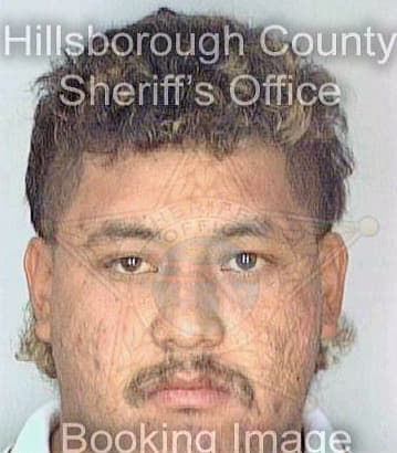 Garcia Cesar - Hillsborough County, FL 