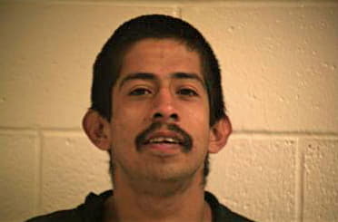 Galvan Michael - Hidalgo County, TX 