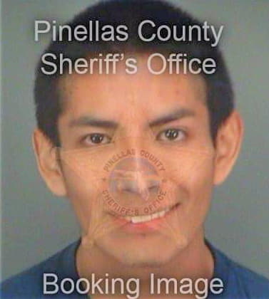 Miller Miguel - Pinellas County, FL 