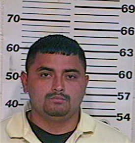 Briseno Ramon - Hidalgo County, TX 