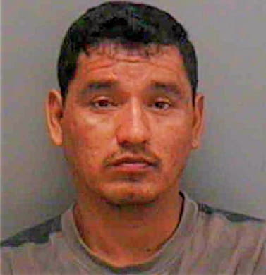 Gonzalez Mario - Lee County, FL 