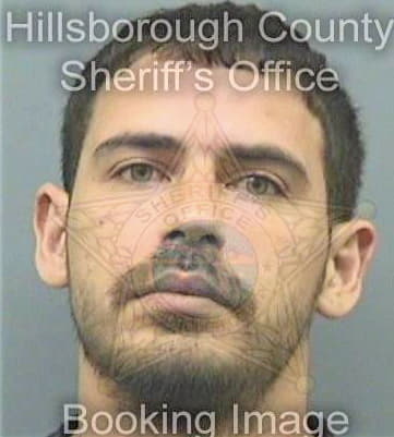 Silva Rolando - Hillsborough County, FL 