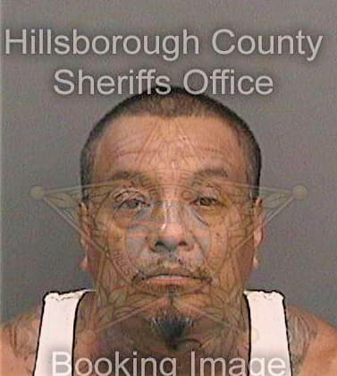 Lira Enrique - Hillsborough County, FL 