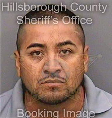 Garcia Felipe - Hillsborough County, FL 