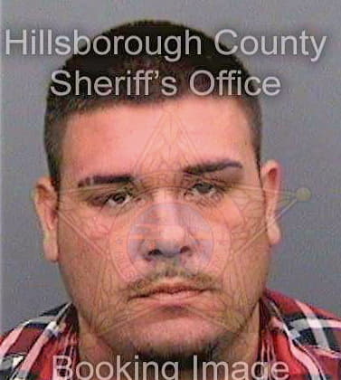 Diaz Michael - Hillsborough County, FL 