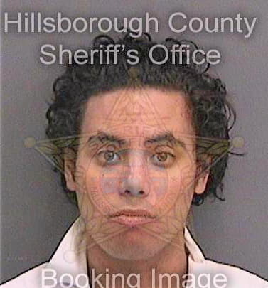 Patin Daniel - Hillsborough County, FL 