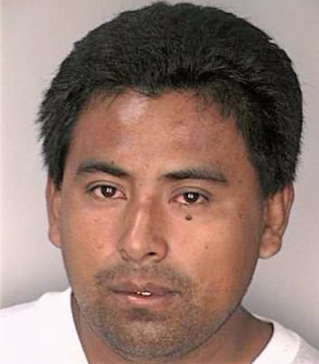 Silvestre Donal - Hillsborough County, FL 