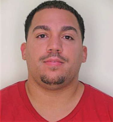 Batista Enriquillo - Hillsborough County, FL 