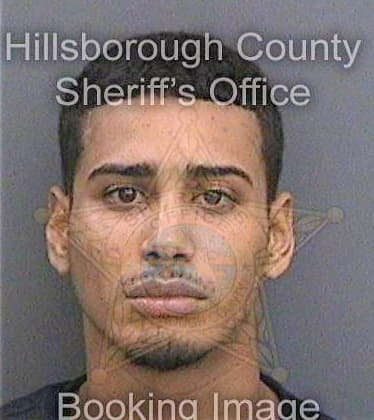 Rioshernandez Ramon - Hillsborough County, FL 