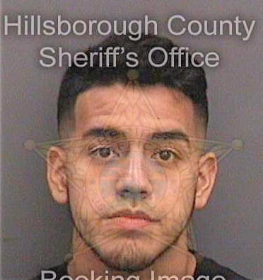 Manriquez Bryan - Hillsborough County, FL 