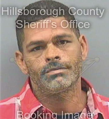 Casillo John - Hillsborough County, FL 