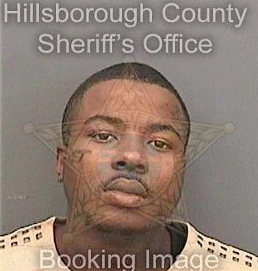 Norton Curtis - Hillsborough County, FL 