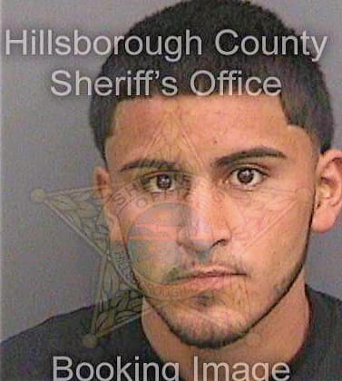 Martinez Miguel - Hillsborough County, FL 