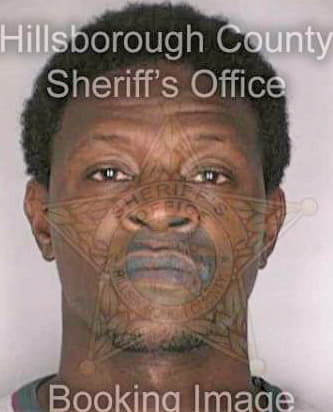 Mcintyre William - Hillsborough County, FL 